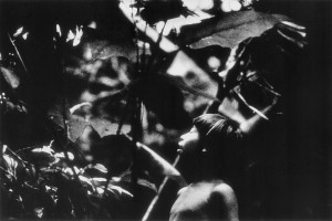 Yanomami (1971-1977)